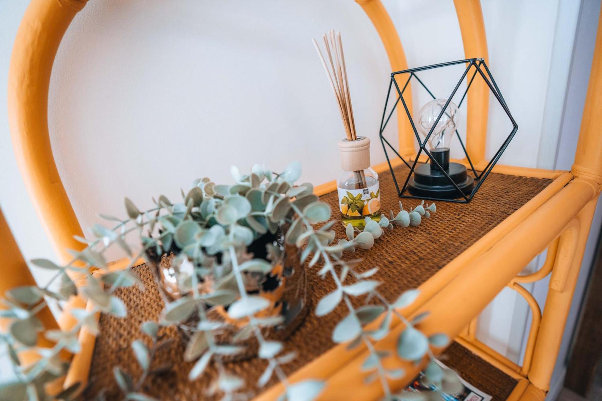 Les Petits Roys - Proche Centre Ville - Cosy Chateauroux Bagian luar foto